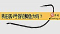 秋田狐4号钩钓鲫鱼大吗？
