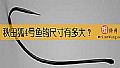 《秋田狐4号鱼钩尺寸有多大？》封面图