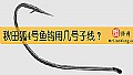 《秋田狐4号鱼钩用几号子线？》封面图