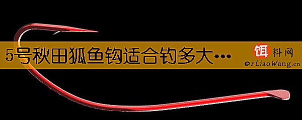 5号秋田狐鱼钩适合钓多大的鱼