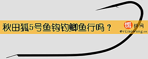 秋田狐5号鱼钩钓鲫鱼行吗