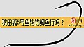 《秋田狐5号鱼钩钓鲫鱼行吗？》封面图