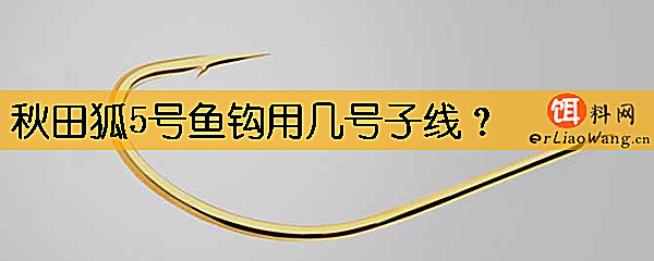 秋田狐5号鱼钩用几号子线