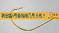 秋田狐5号鱼钩用几号子线？