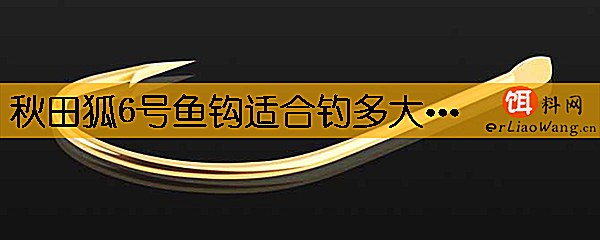 秋田狐6号鱼钩适合钓多大的鱼