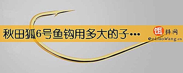 秋田狐6号鱼钩用多大的子线