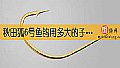 《秋田狐6号鱼钩用多大的子线？》封面图