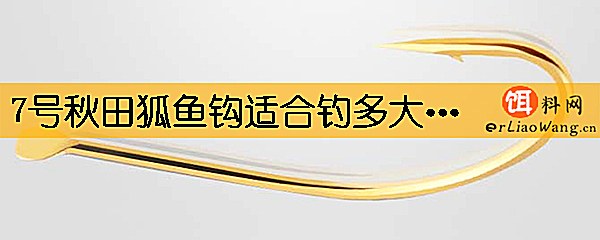 7号秋田狐鱼钩适合钓多大的鱼