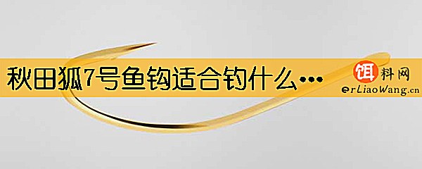 秋田狐7号鱼钩适合钓什么鱼