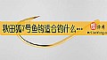 《秋田狐7号鱼钩适合钓什么鱼?》封面图