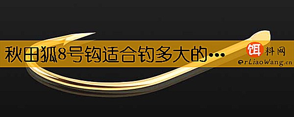 秋田狐8号钩适合钓多大的鱼