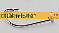 白狐鱼钩有什么特点？