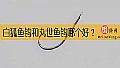 《白狐鱼钩和丸世鱼钩哪个好？》封面图