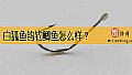 《白狐鱼钩钓鲫鱼怎么样？》封面图
