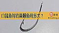 白狐鱼钩钓黄颡鱼用多大?