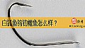 《白狐鱼钩钓鲤鱼怎么样？》封面图