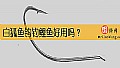 《白狐鱼钩钓鲤鱼好用吗？》封面图