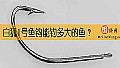 白狐1号鱼钩能钓多大的鱼?