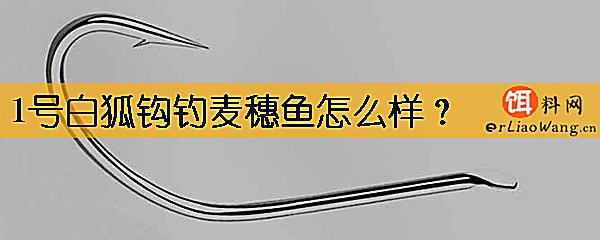 1号白狐钩钓麦穗鱼怎么样