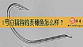 《1号白狐钩钓麦穗鱼怎么样？》封面图