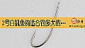 《2号白狐鱼钩适合钓多大的鱼？》封面图