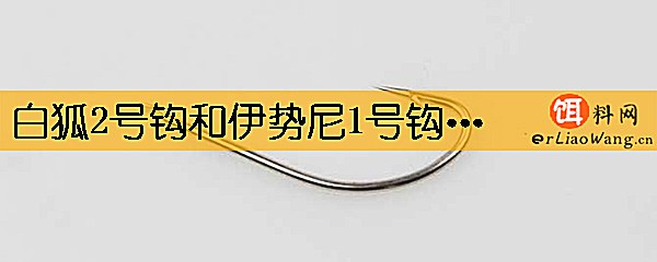 白狐2号钩和伊势尼1号钩哪个大
