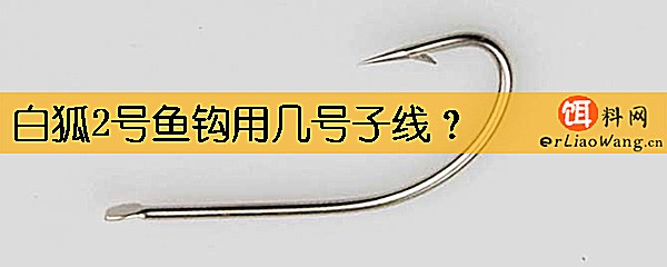 白狐2号鱼钩用几号子线