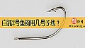 《白狐2号鱼钩用几号子线？》封面图