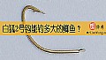 《白狐2号钩能钓多大的鲫鱼？》封面图