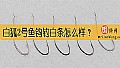 白狐2号鱼钩钓白条怎么样?