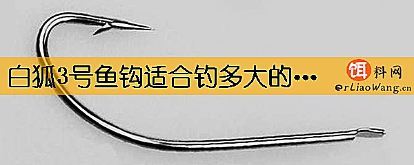 白狐3号鱼钩适合钓多大的鱼