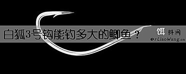 白狐3号钩能钓多大的鲫鱼