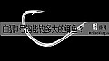 白狐3号钩能钓多大的鲫鱼?