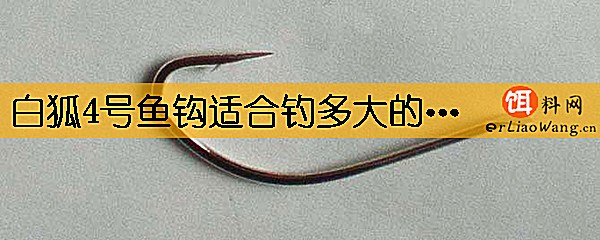 白狐4号鱼钩适合钓多大的鱼
