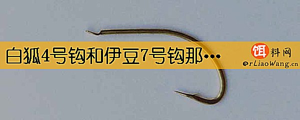 白狐4号钩和伊豆7号钩那个大