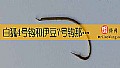 《白狐4号钩和伊豆7号钩那个大？》封面图