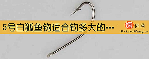 5号白狐鱼钩适合钓多大的鱼