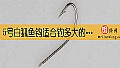 《5号白狐鱼钩适合钓多大的鱼？》封面图