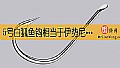 《5号白狐鱼钩相当于伊势尼几号？》封面图