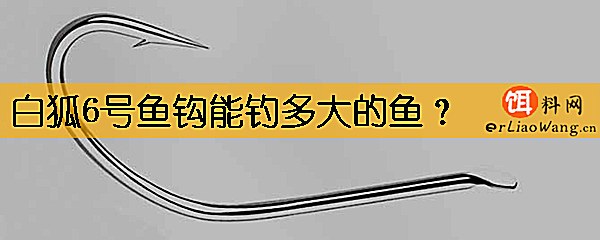 白狐6号鱼钩能钓多大的鱼