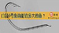 白狐6号鱼钩能钓多大的鱼?