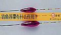 《钓鱼浮漂有什么作用？》封面图