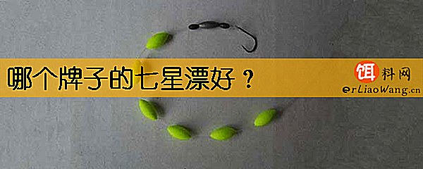 哪个牌子的七星漂好