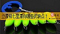 《立漂和七星漂有哪些优缺点？》封面图