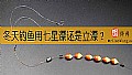 《冬天钓鱼用七星漂还是立漂？》封面图