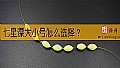 《七星漂大小号怎么选择？》封面图