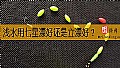 《浅水用七星漂好还是立漂好?》封面图