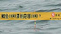 鲫鱼18种漂相是哪18种？