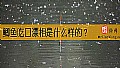 《鲫鱼吃口漂相是什么样的？》封面图