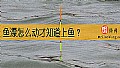 《鱼漂怎么动才知道上鱼？》封面图